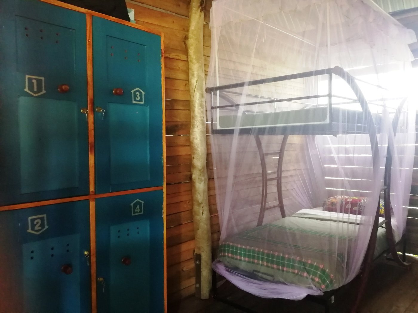 Lits superposés en bois et casiers dans une chambre de dortoir de Murchison Backpackers