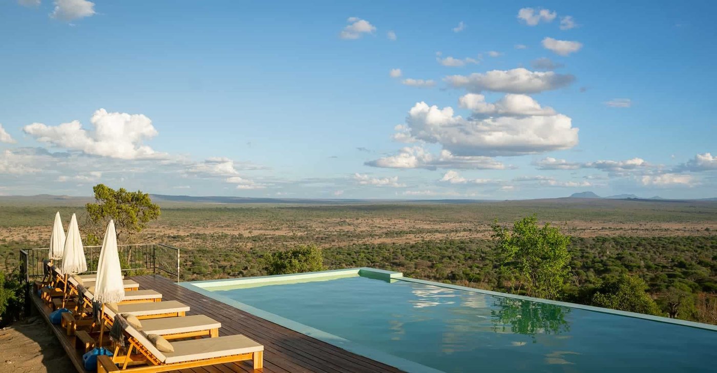 Piscine à débordement et transats donnant sur la savane à Pabidi Lodge