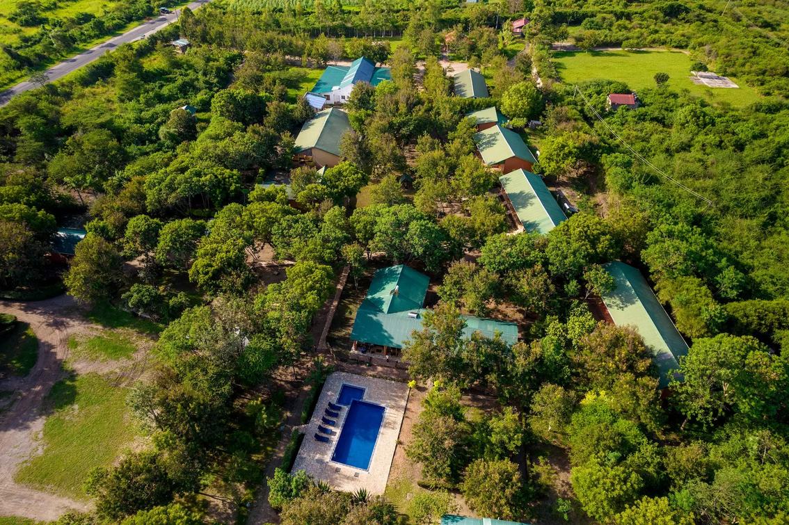 Vue aérienne des chambres et de la piscine de Pabidi Lodge parmi les arbres