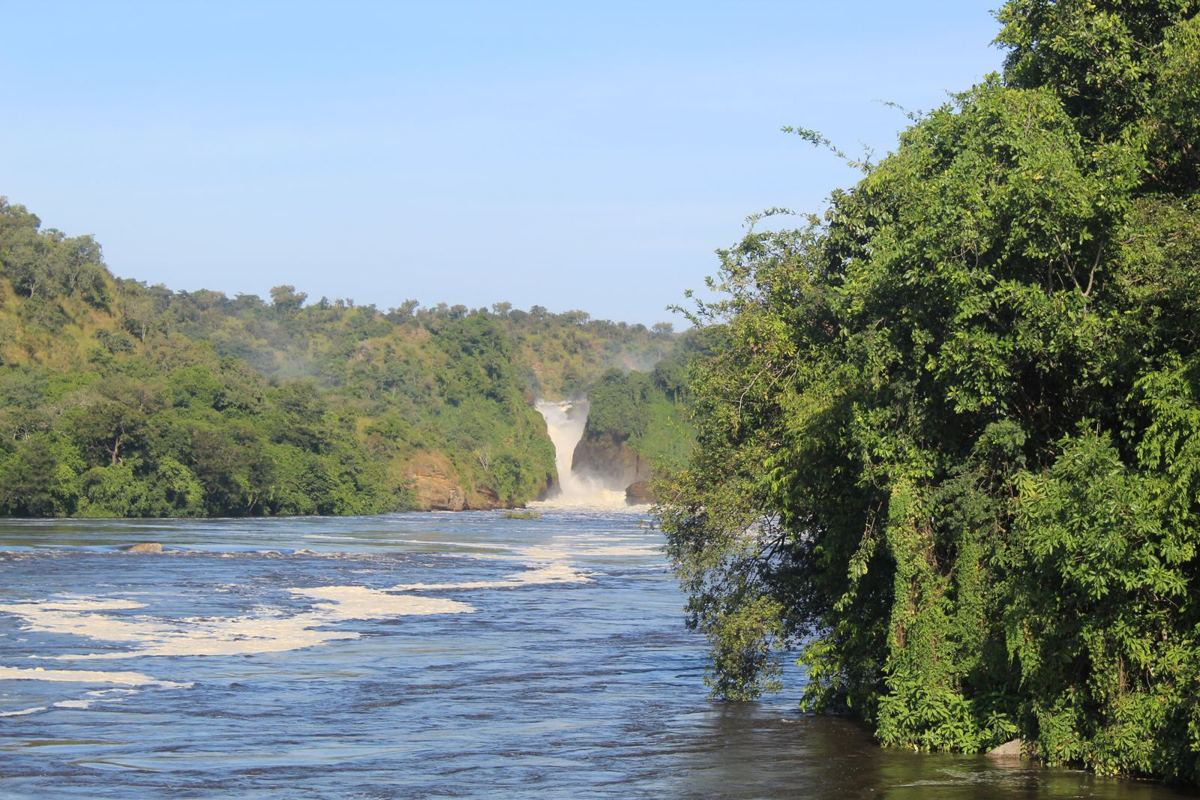 Murchison Falls von stromabwärts am Victoria Nil gesehen, bewaldete Ufer auf beiden Seiten