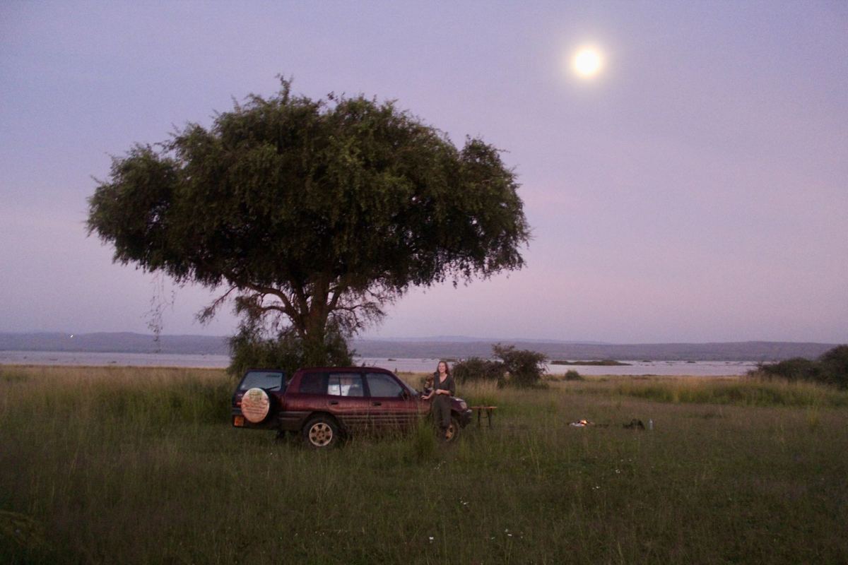 Ein Auto parkt unter einem großen Baum auf offener Grünfläche in der Dämmerung mit Vollmond und dem Nildelta dahinter